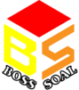 bosssoal.com