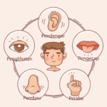 Evaluasi Panca Indra Kelas 3