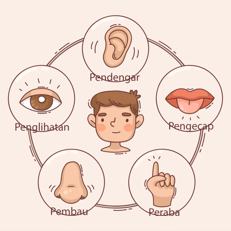 Evaluasi Panca Indra Kelas 3