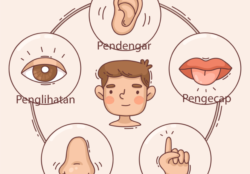 Evaluasi Panca Indra Kelas 3